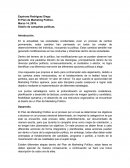 Diseño de campañas políticas.