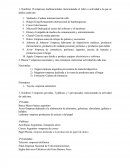 Nombrar 10 empresas multinacionales mencionando el rubro o actividad a la que se dedica cada una