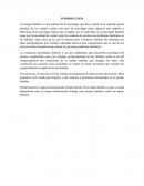 Propuesta de accion familiar.