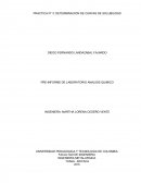 PRACTICA N° 3: DETERMINACION DE CURVAS DE SOLUBILIDAD.