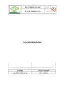 PLAN DE EMERGENCIAS RECUPERAR SAS ESP