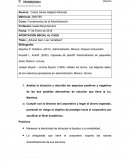 Tarea 1. Aportación inicial al caso.