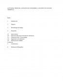 Plan de cuidados a paciente en estado terminal.