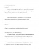 Uno de los elementos principales para implementar de manera exitosa una estrategia es su cultura organizacional. Esta sección analizaremos las características y los diversos tipos de cultura organizacional con e fin de seleccionar la cultura organizacio