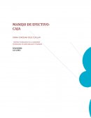 El efectivo es el recurso más importante que tiene toda empresa