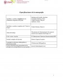 CAPÍTULO I y avance del CAPÍTULO II.