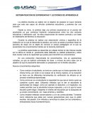 SISTEMATIZACIÓN DE EXPERIENCIAS Y LECCIONES DE APRENDIZAJE
