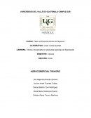 Agrocomercial Tikiagro