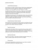 ANÁLISIS CUALITATIVO DE NEGOCIOS.