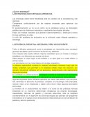 LA ESTRATEGIA NO ES EFICACIA OPERATIVA