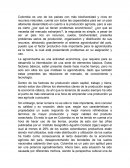 La distribución del suelo agropecuario en Colombia.