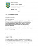 ¿Qué es el Analfabetismo Funcional?