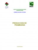 COMISION NACIONAL DE RIEGO