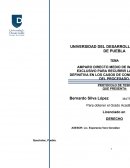 AMPARO DIRECTO MEDIO DE IMPUGNACIÓN EXCLUSIVO PARA RECURRIR LA SENTENCIA DEFINITIVA EN LOS CASOS DE CONFESIÓN EXPRESA DEL PROCESADO.