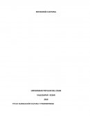 Sociologia cultural. ESPACIO, TIEMPO Y RIESGO EN LA CULTURA GLOBAL