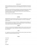 Diseño de una organizacion de guarderia