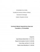 Confusión Mental, Esquizofrenia, Neurosis Traumática, y Criminalidad