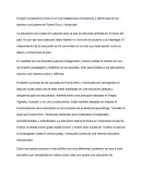 Nsayo comparativo-crítico en el cual establezcas semejanzas y diferencias de los diseños curriculares de Puerto Rico y Venezuela.