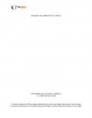 Trabajo colaborativo fisica.