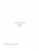 Los factores que afectan a la empresa.¿Cómo pueden afectar las variables externas e internas a la empresa?