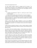 Teoría cósmica (panspermia) de la vida,