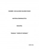 NOVELA COMPLOT MONGOL