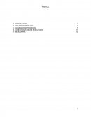 Modelos de Inventario Multinivel.