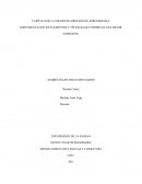 CAPÍTULO DE LA ESCRITURA PROCESO DE APRENDIZAJE E IMPLEMENTACION DE ELEMENTOS Y TÉCNICAS QUE PERMITAN UNA MEJOR EXPRESIÓN.