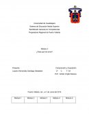 Portafolio de Meraux modulo.