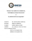 TRABAJO DE DERECHO COMERCIAL “INFORME DE INVESTIGACION” & “ELABORACION DE ESQUEMA”