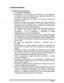 Plan de Investigación Problema de Investigación