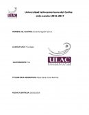 Bajo rendimiento escolar por desinterés y falta de atención de los padres