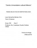 TEMAS SELECTOS DE MORFOFISIOLOGIA