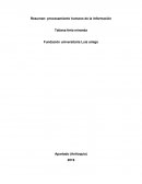 Procesamiento de la informacion.