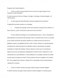Preguntas Guía: Sistema Digestivo. Página 1