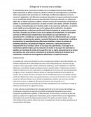 Biología de la mucosa oral y esófago