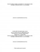 ENSAYO CRÍTICO SOBRE LEGITIMIDAD Y CONVENIENCIA DEL CONTROL CONSTITUCIONAL A LA ECONOMÍA