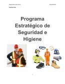 Programa Estratégico de Seguridad e Higiene
