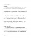 Investigacion ESTUDIO DE MERCADO