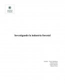 Evolución del sector forestal en Chile