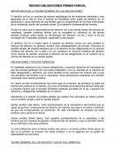 RESUMEN OBLIGACIONES.