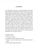 LA MADREMONTE