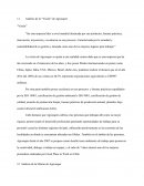 Analisis Vision Agrosuper.