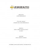 INTRODUCCION CASOS EMPRESARIALES