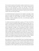 Ensayo sobre caso zara