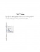 Practica en Corel Draw x5