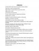 Objeto materia: La persona física en la que recae el daño.