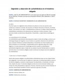 Digestión y absorción de carbohidratos en el intestino delgado