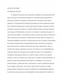 Ficha de Sintesis