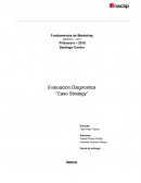 Informe de marketing-Estrategias